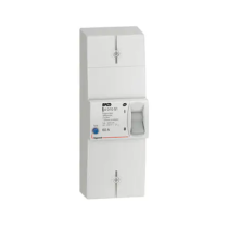 LEGRAND Disjoncteur de branchement Enedis bipolaire différentiel 500mA instantané 60A