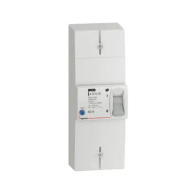 LEGRAND Disjoncteur de branchement Enedis bipolaire différentiel 500mA instantané 60A