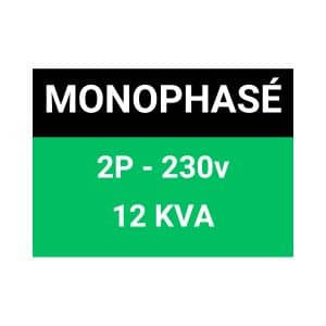 Coffret de chantier monophasé 12 kVA - conforme ENEDIS / EDF